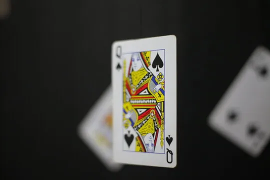 官网入口引导图